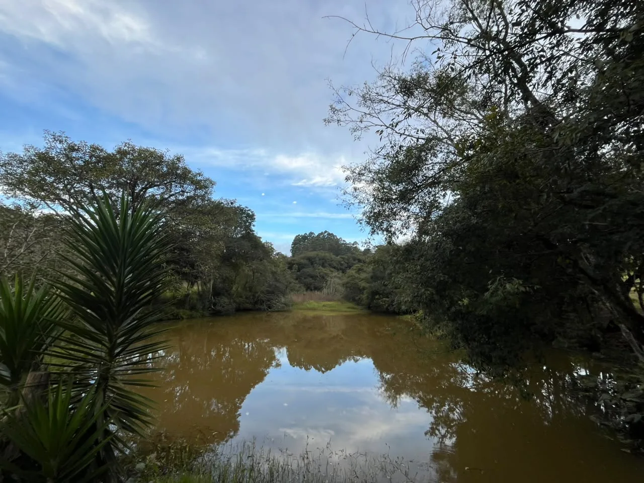 Imóvel rural com 3 quartos à venda em Zona Rural, Bandeira do Sul