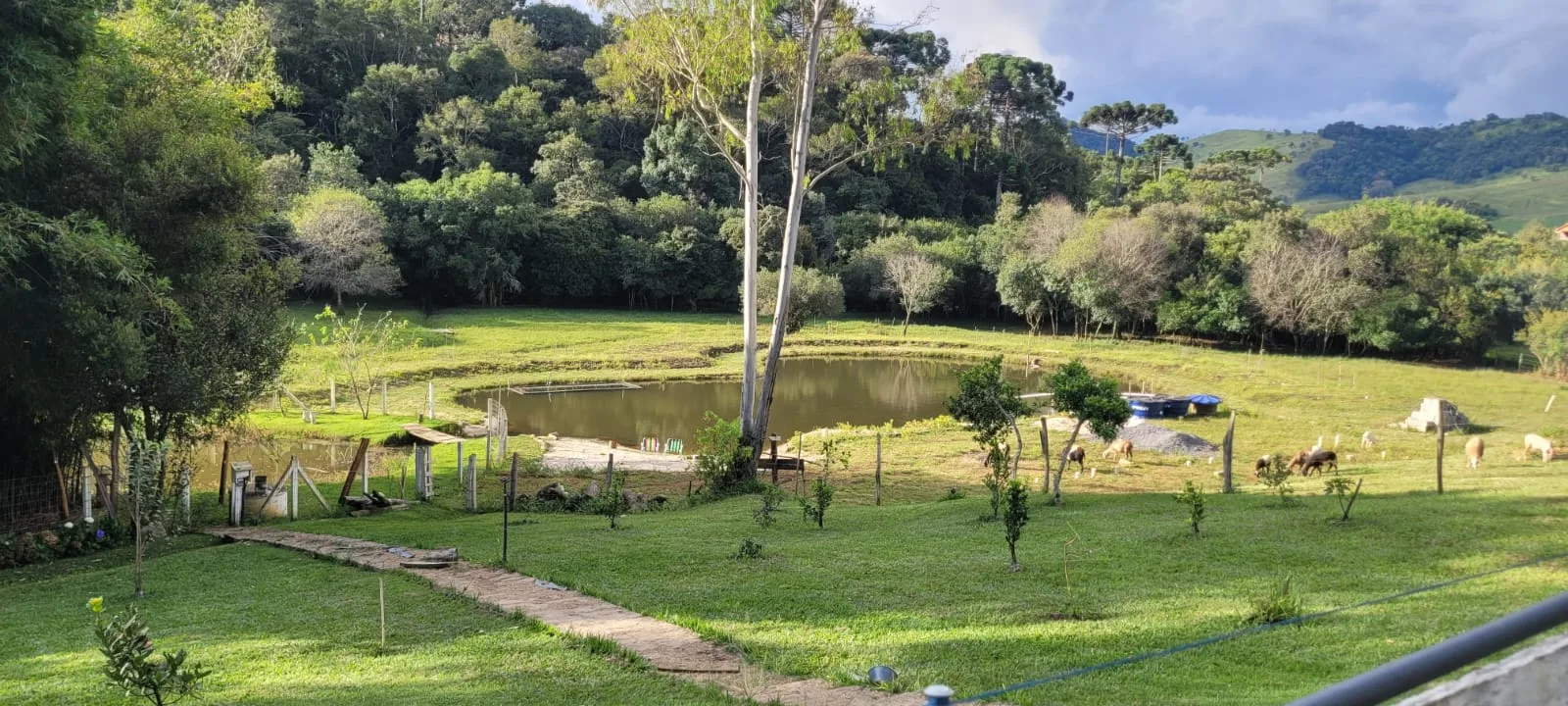 Imóvel rural com 3 quartos à venda em Zona Rural, Caldas
