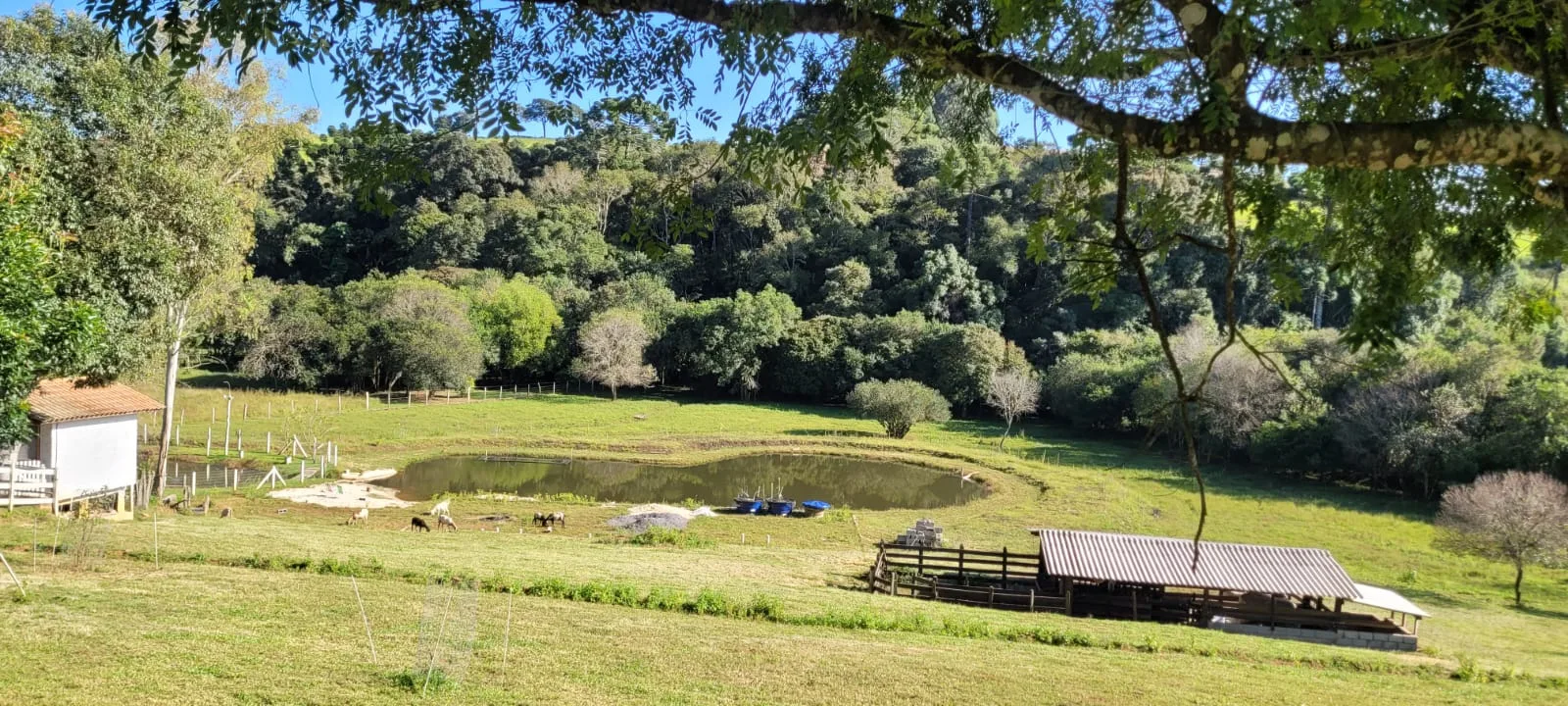 Imóvel rural com 3 quartos à venda em Zona Rural, Caldas