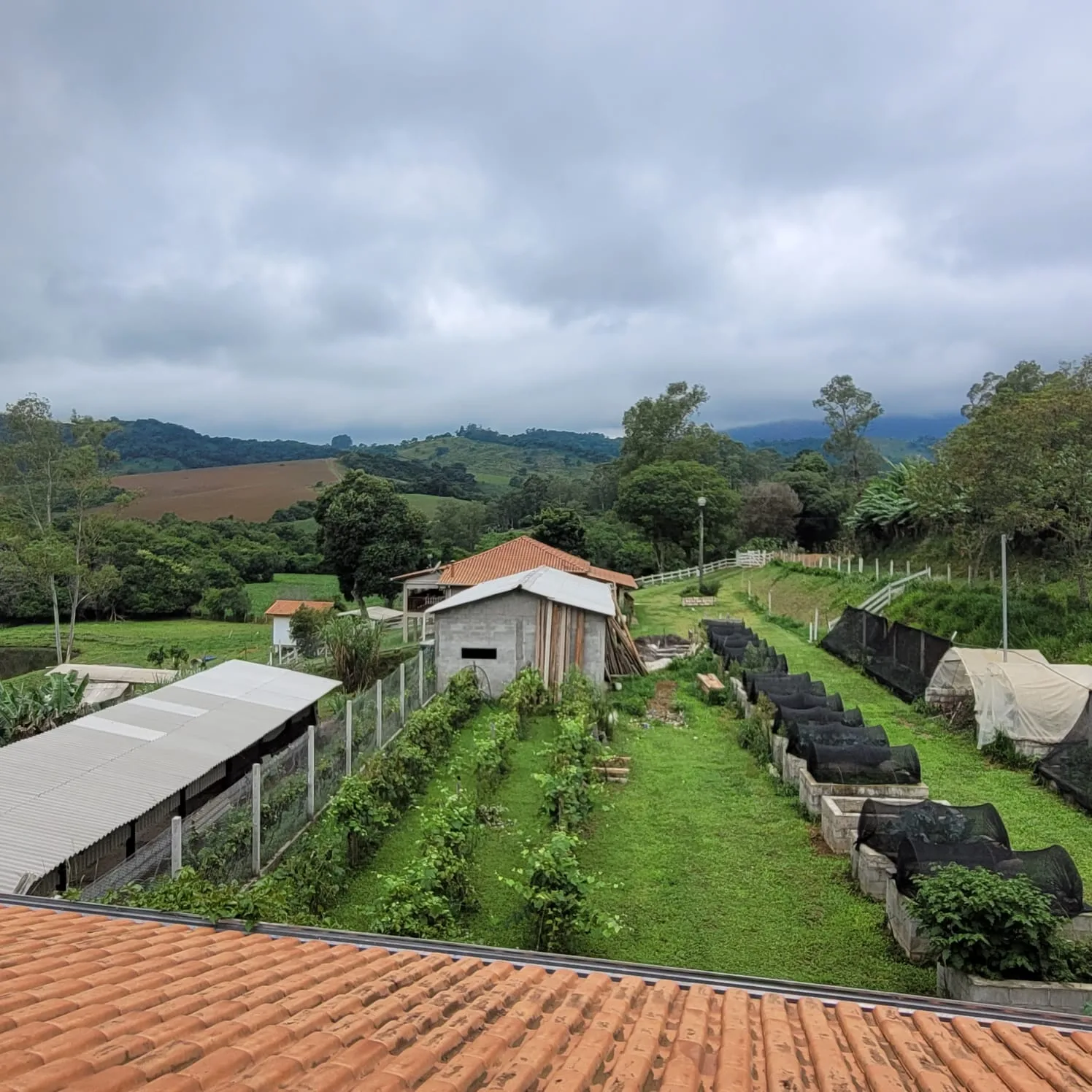 Imóvel rural com 3 quartos à venda em Zona Rural, Caldas